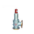 (LPG) Backflow Safety Valve / Safety Reflux Valve (GAH42F)